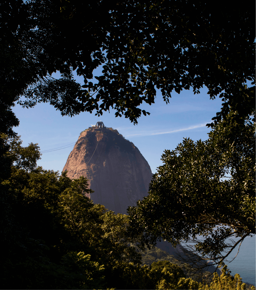 Pão de açúcar